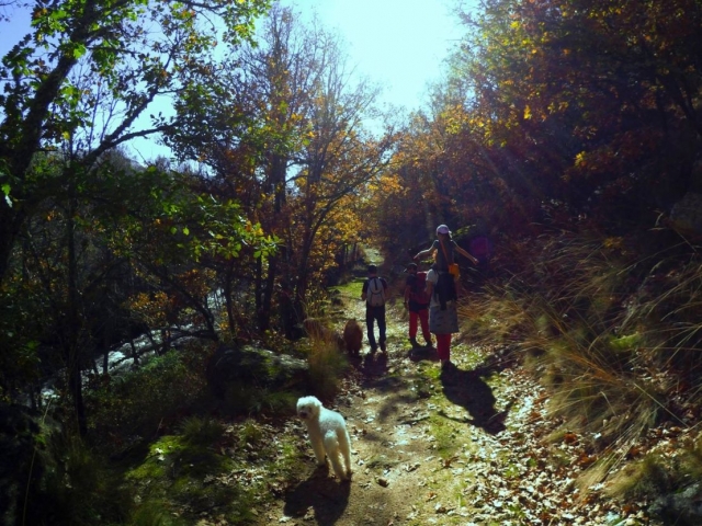 Passeggiando per il Parco Regionale 