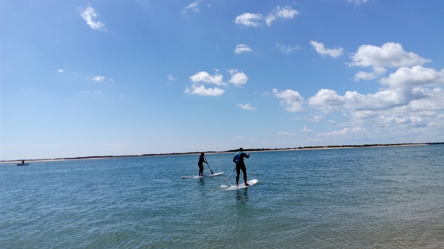 chicos paddle sur en el mar