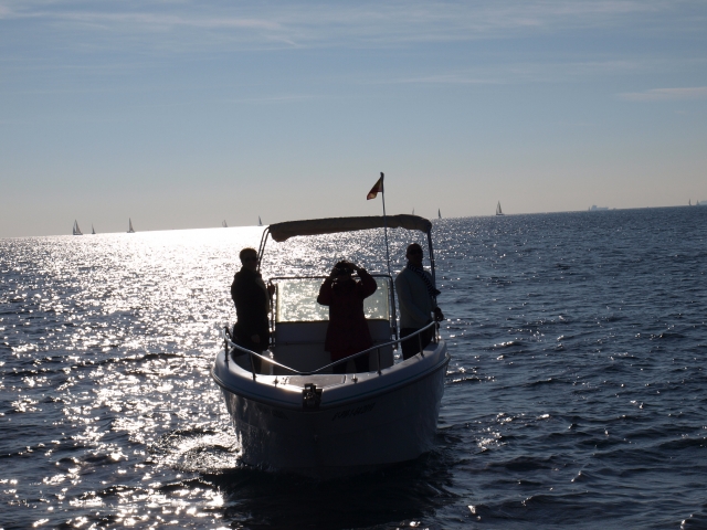  Barca a motore in mare 