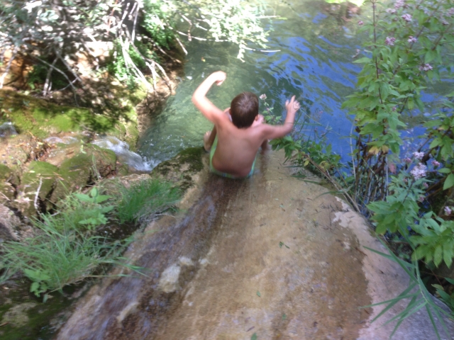 Al agua patos