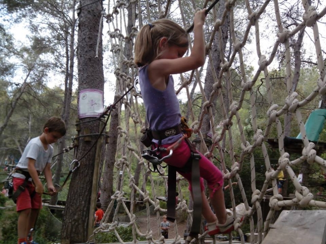 ponte de rede de aranha