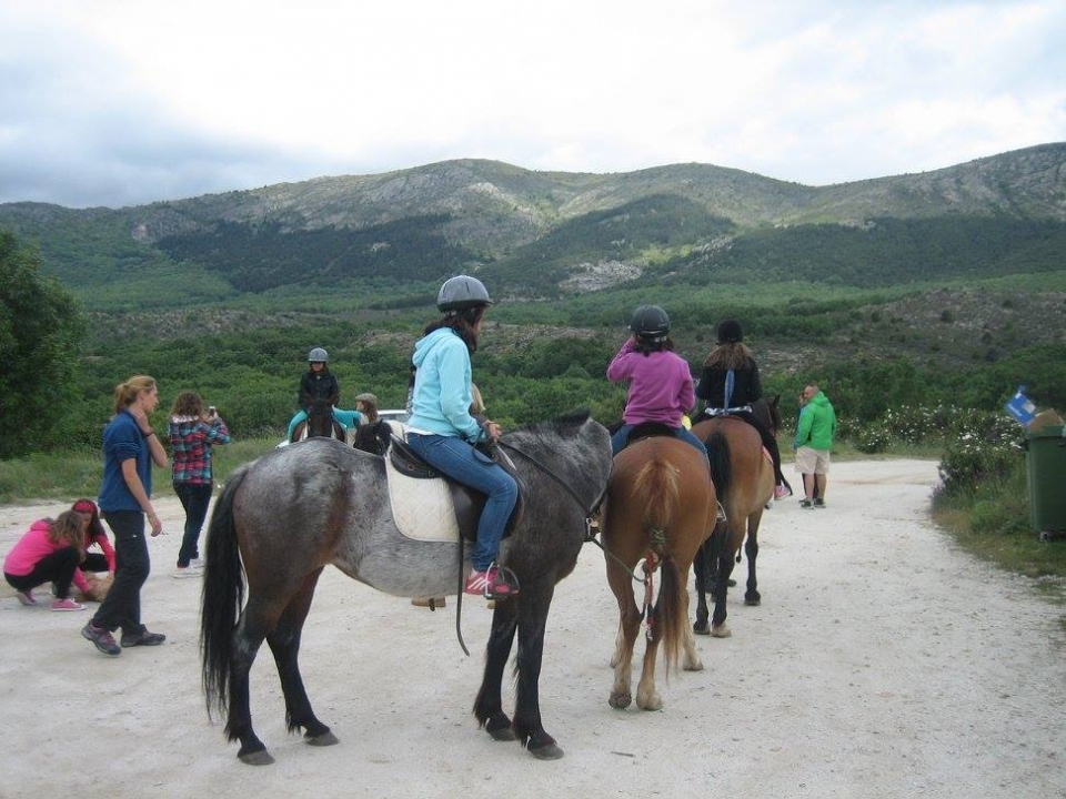  Routes chevaux pendant le développement du camp 