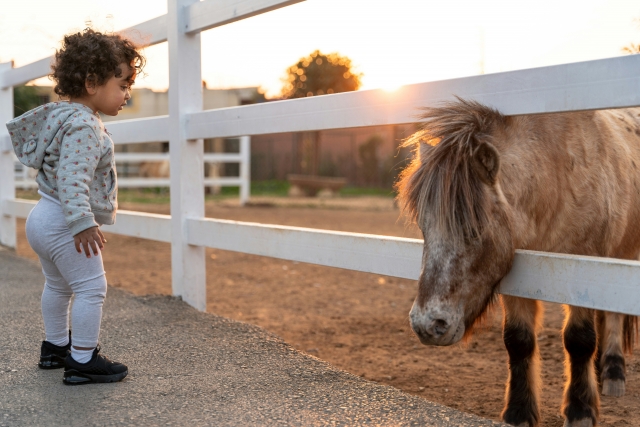  Experience with ponies in Cornella Del Terri 