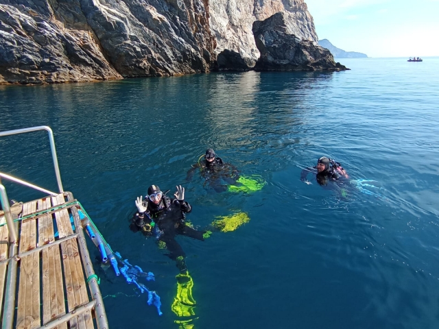 Diving aus Barco 