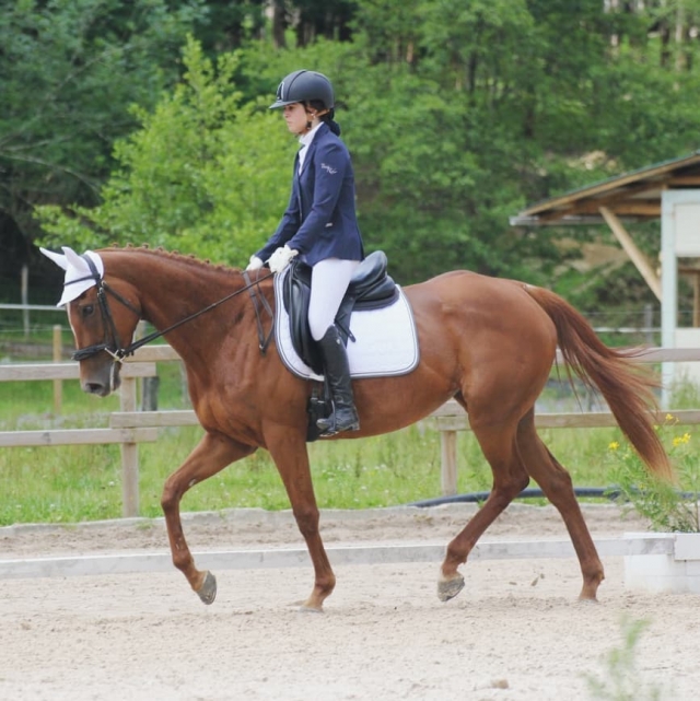  Aprenda a andar a cavalo 