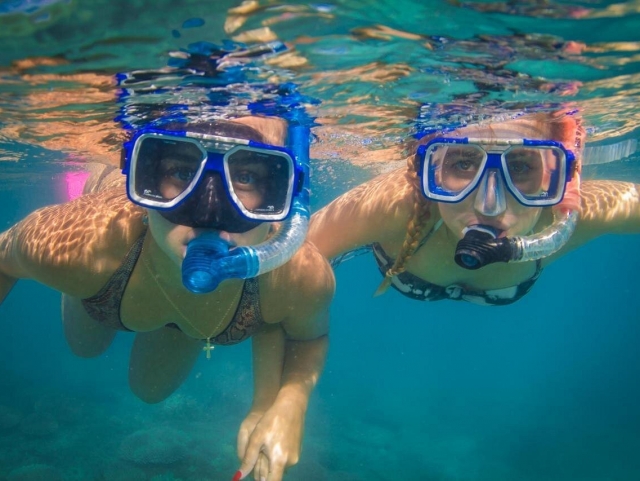Snorkel
