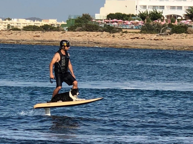  Fliteboard with pet 