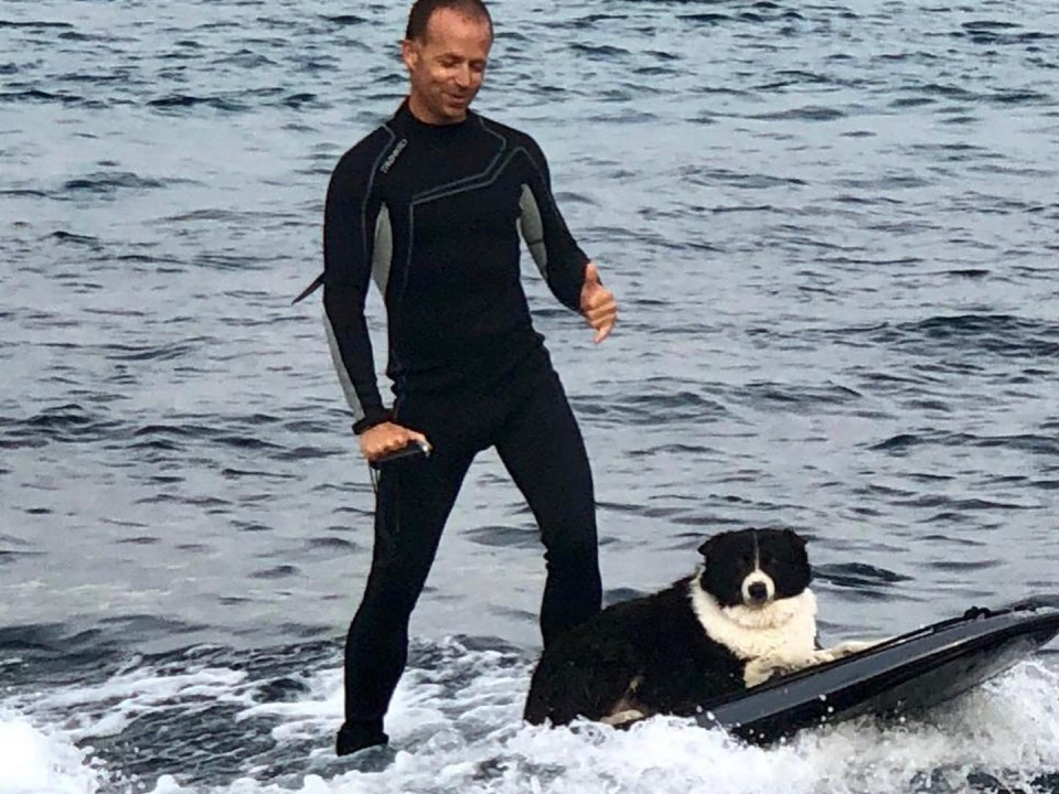 Fliteboard con perro Fliteboard con perro