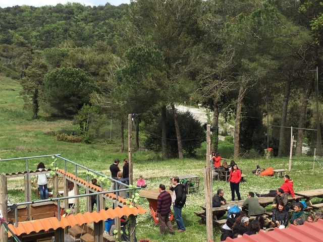  Outdoor party 