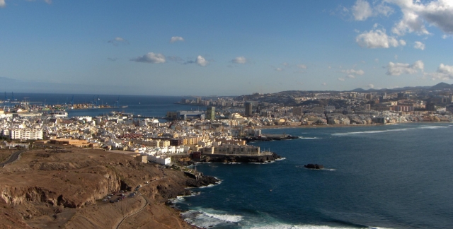 Las palmas