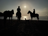 Itinerario notturno a cavallo da San José a Genoveses 3h