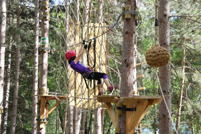  Aventure à travers les arbres