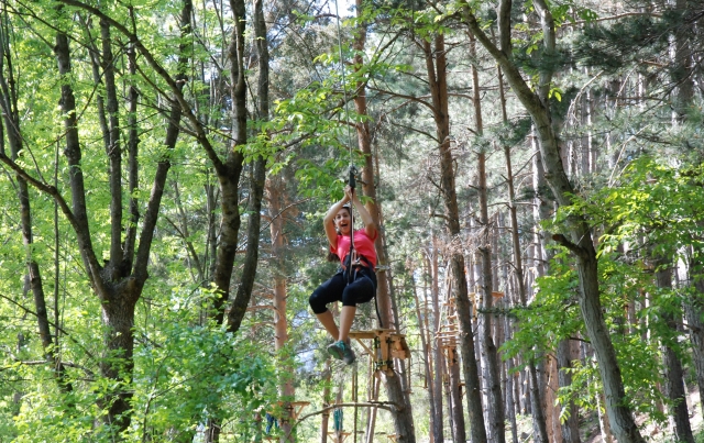  Tree Zip Lines