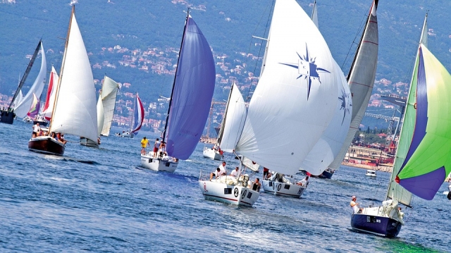 Many sailboats 