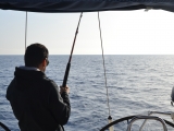 Pesca en velero desde el Puerto Valencia Mar, 4h