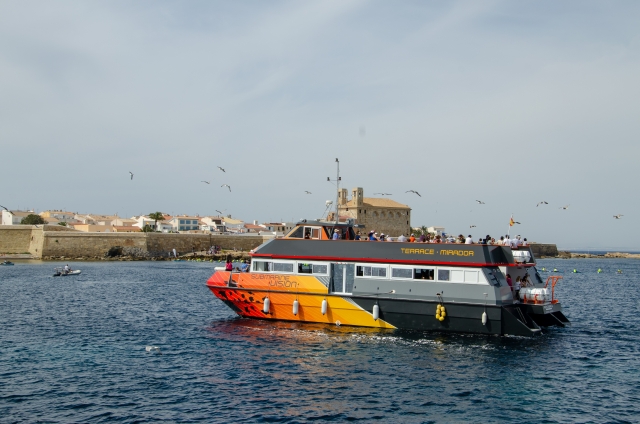  Mediterranean cruise to Tabarca2 