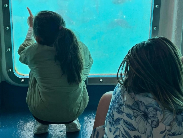  Underwater view window 