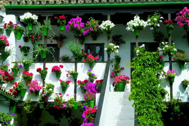 Cortili colorati 
