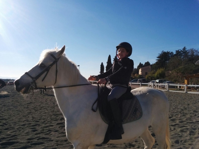  Comme il est beau mon petit cheval blanc 