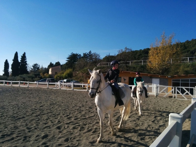 Allons aller cheval 