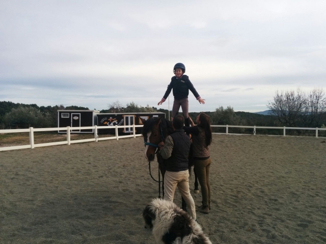  équilibre sur le cheval