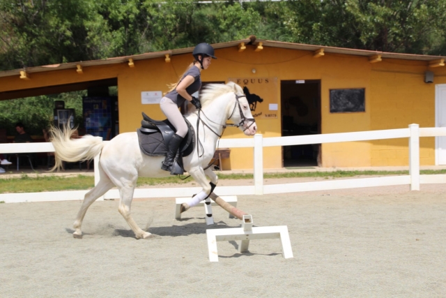 Cours de saut d'obstacles sur piste équestre 