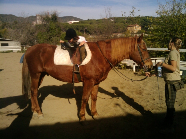  Equestrian in Barcelona 