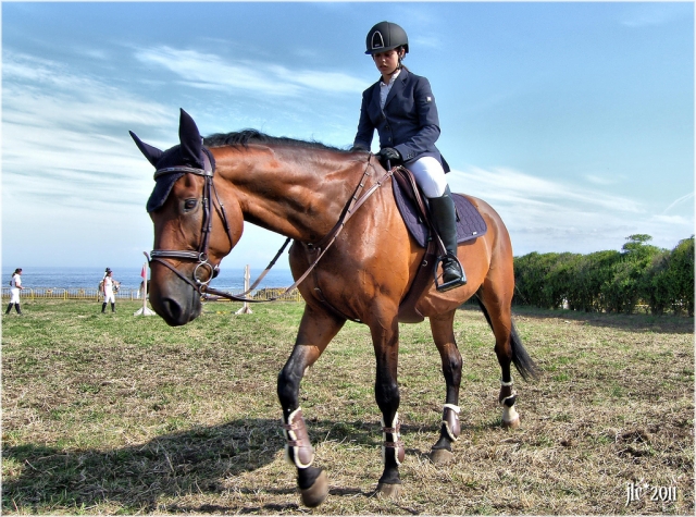  Equestrian in the camp 