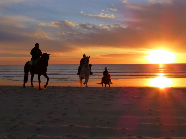 Ruta en la playa al atardecer