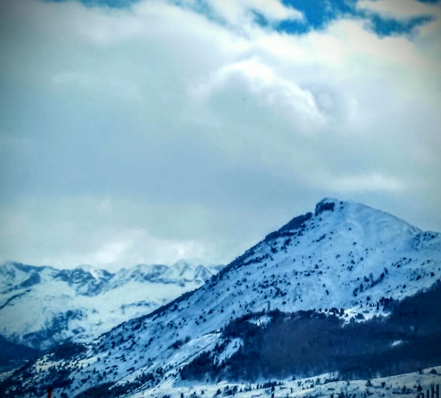  Winter Trail 