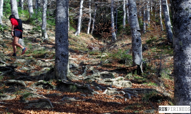  Traverse Trail