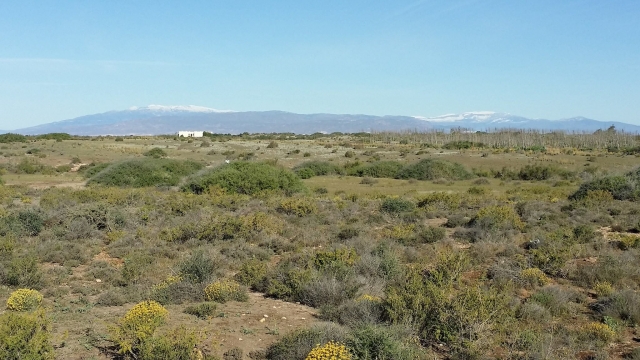  Die Landschaften von Cabo de Gata während die Wanderroute 