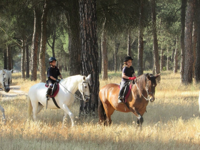  camp during Holy Week in Valladolid 