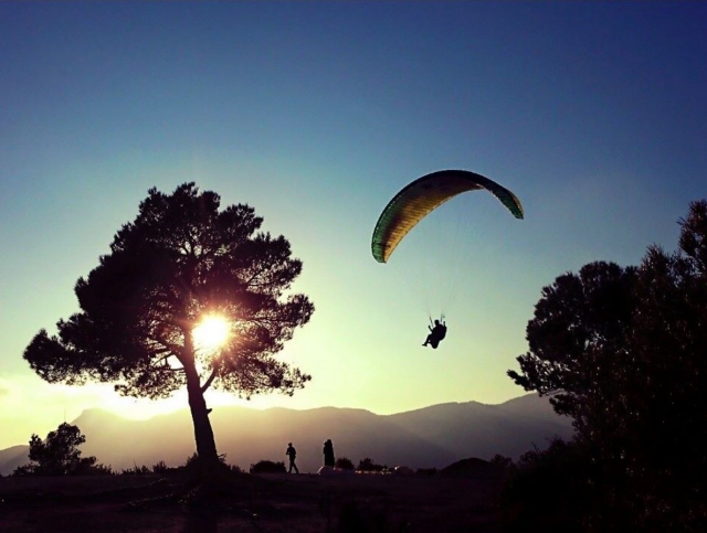  Gleitschirmfliegen neben den Bäumen in Alicante 