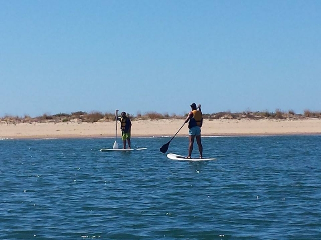 dos chicos haciendo paddle surf