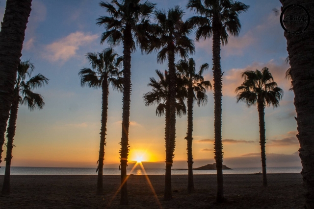  The beaches of southern Spain 