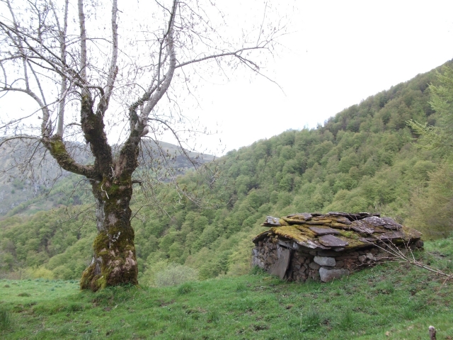 Parque Natural de Ponga