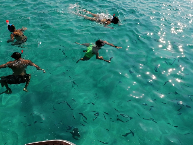 Sesión de snorkel durante el paseo en barco