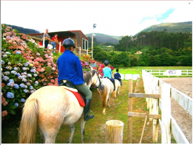 Riding lessons during the equestrian camp 