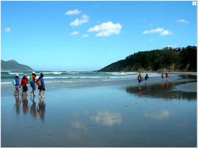 Caminando por la playa