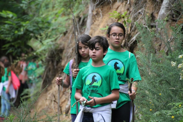 Caminando en el campo