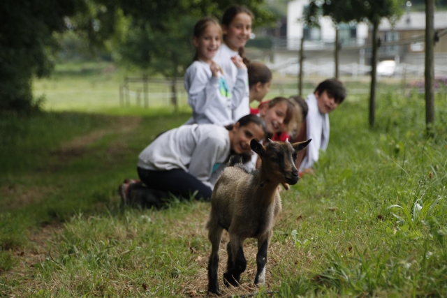 En la granja