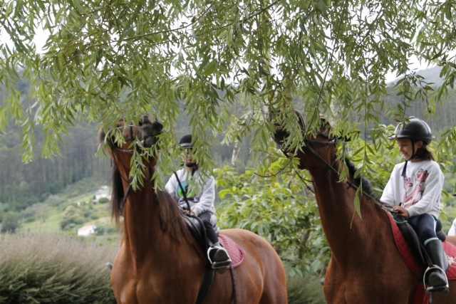 Ruta a caballo