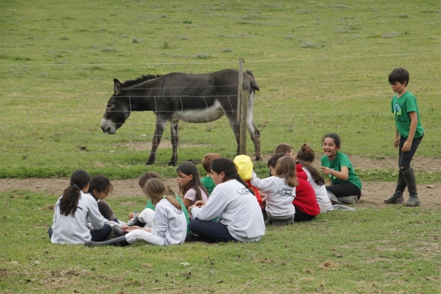 Sentadas junto al burro