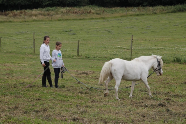 Dando cuerda al caballo