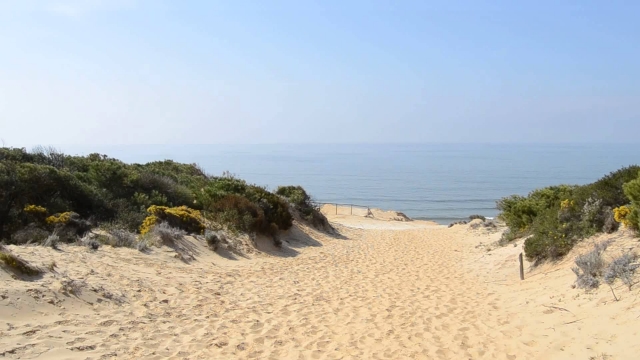  Laguna el Jaral 