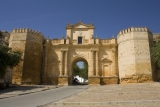 Visita guiada a Carmona de media jornada