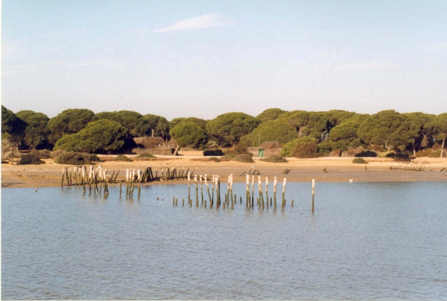 Paisajes del Parque de Doñana