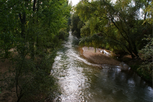  Guadalquivir und Natur 