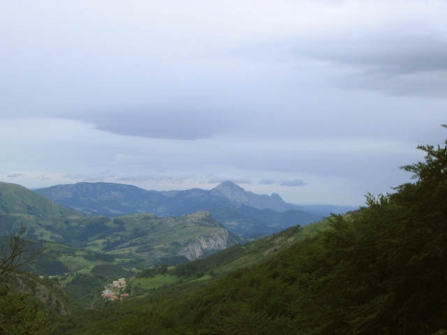 Pais vasco verde